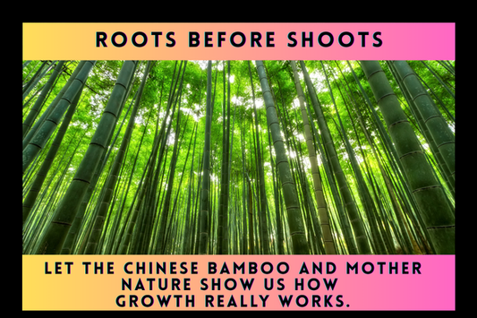 Roots before shoots: Let the Chinese bamboo and Mother Nature show us how growth really works.
