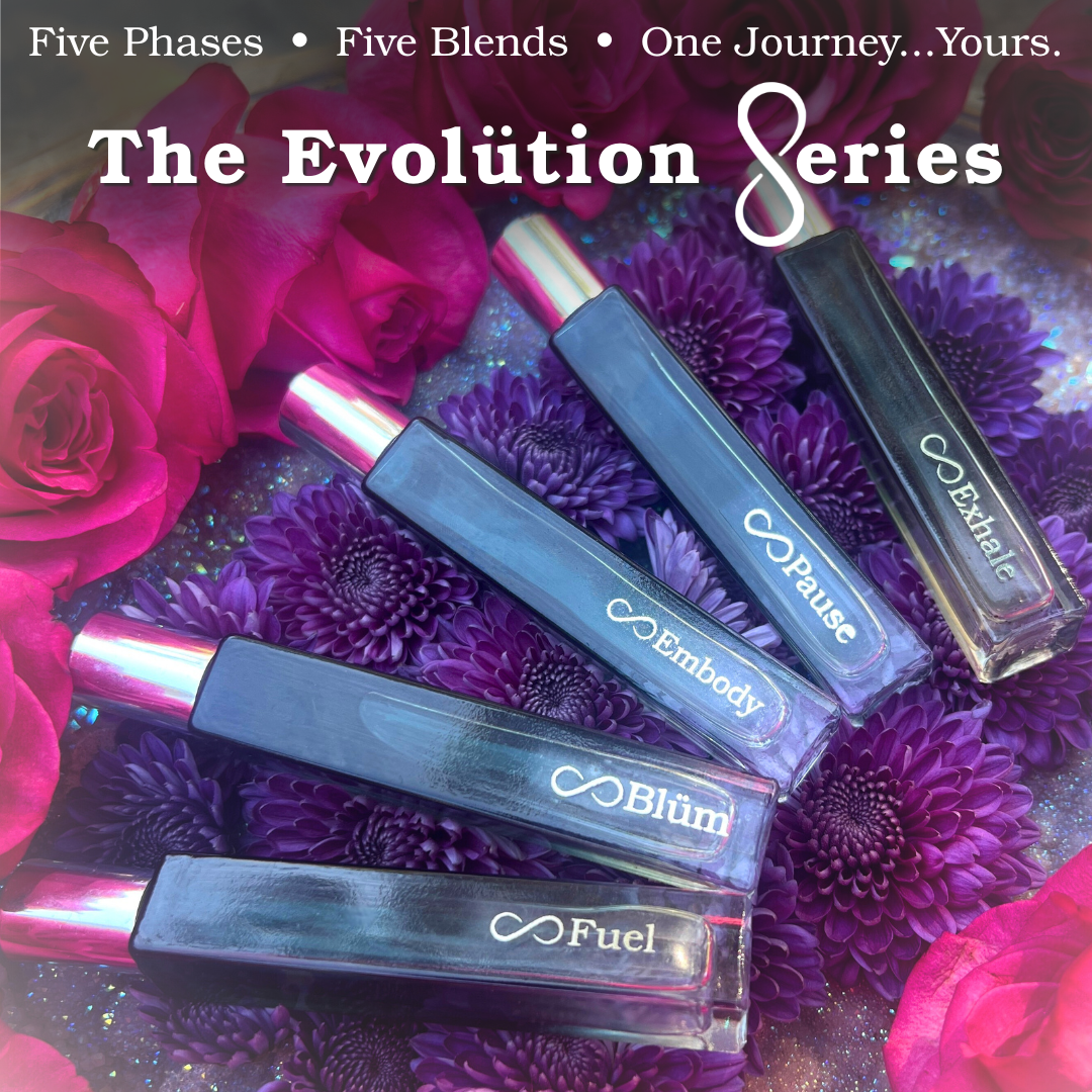 Evolution Series - Full Size Collection