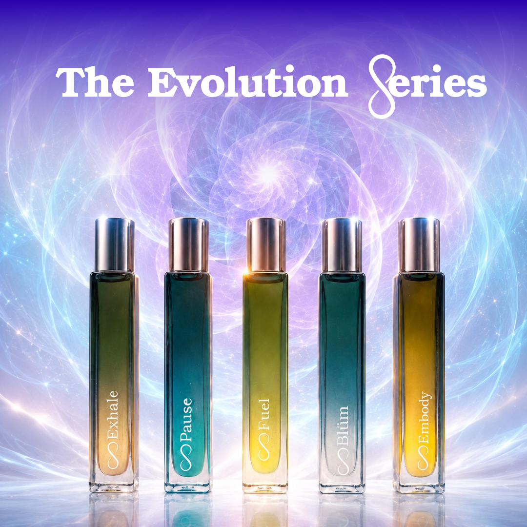 Evolution Series - Full Size Collection - Ella Vatour