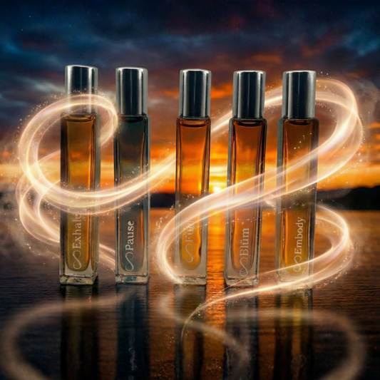 Evolution Series - Full Size Collection