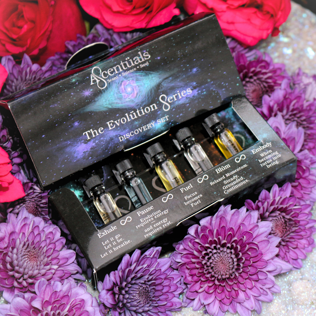 Five handcrafted essential oil sample vials representing the phases of evolution: Exhale, Pause, Fuel, Blüm, and Embody