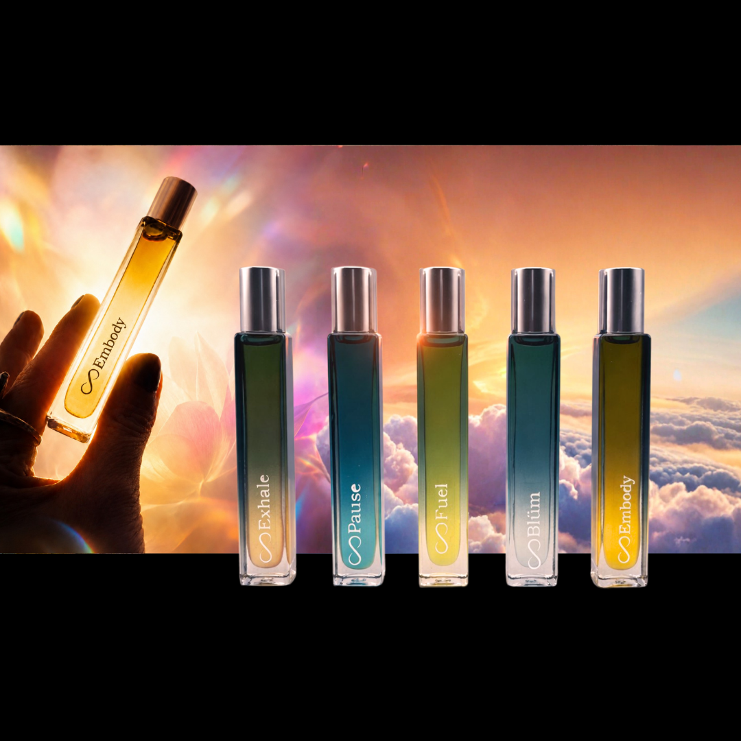 Evolution Web banners-8.png