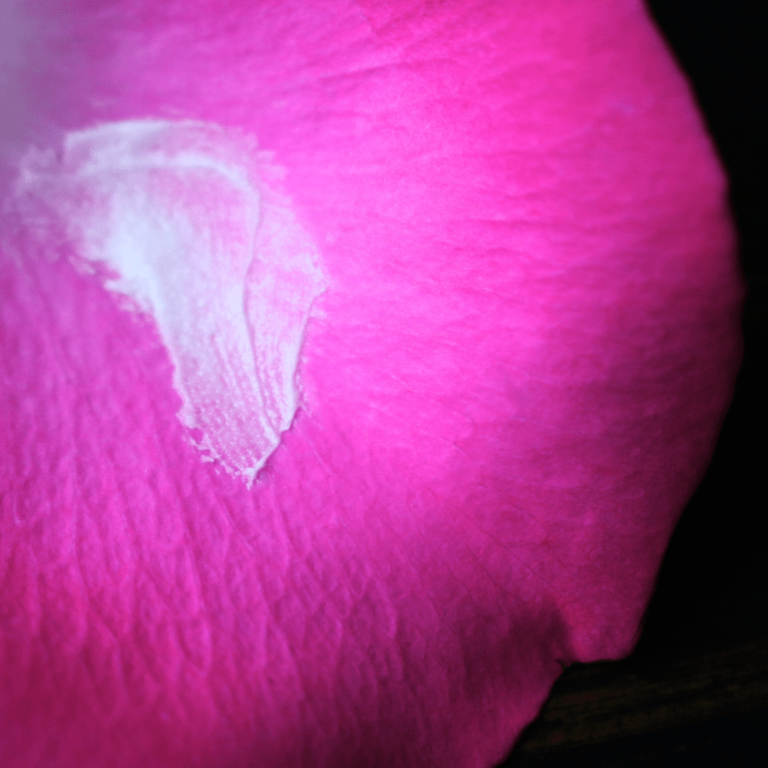 Close-up of white, whipped tallow balm texture with mango butter and prickly pear oil for smoothing dry skin.