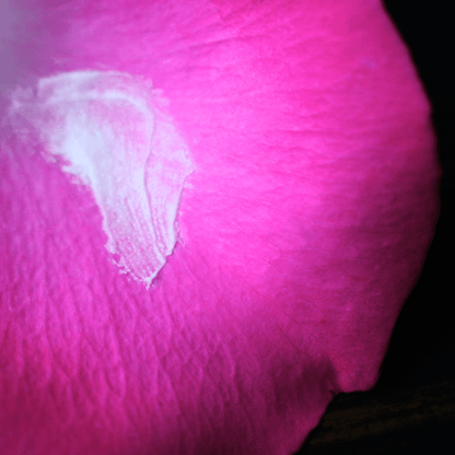 Close-up of white, whipped tallow balm texture with mango butter and prickly pear oil for smoothing dry skin.